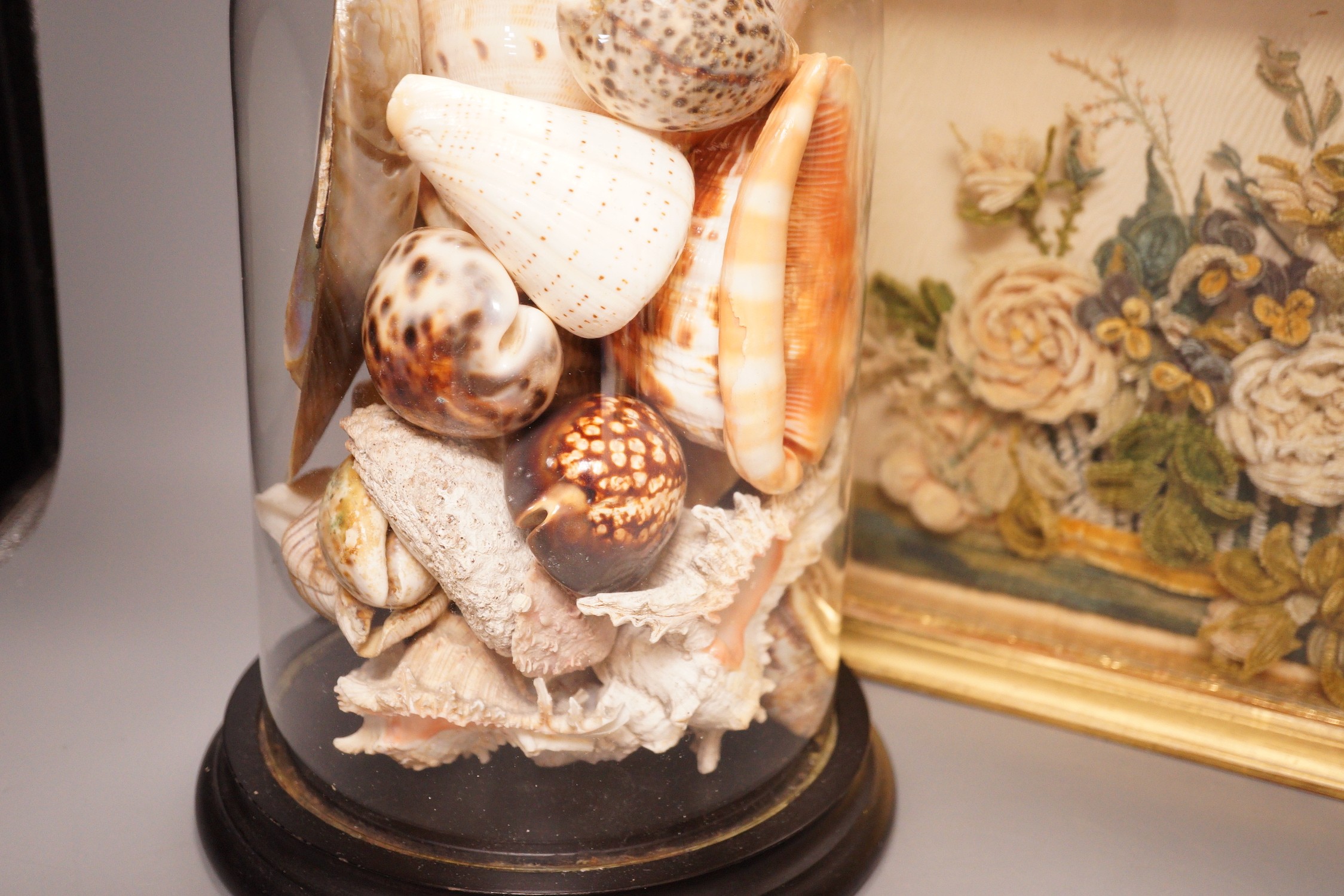 A Victorian chenille bouquet, framed and a shell arrangement, under a glass dome
